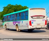 Laranjal Transportes 422 na cidade de Pelotas, Rio Grande do Sul, Brasil, por Ribeiro Reis. Número da foto: #12863718.