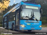 FAOL - Friburgo Auto Ônibus 600 na cidade de Nova Friburgo, Rio de Janeiro, Brasil, por Pedro Henrique Sudoh. Número da foto: #12865823.