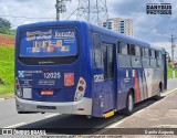 Transportes Capellini 12025 na cidade de Campinas, São Paulo, Brasil, por Danilo Augusto. Número da foto: #12866888.