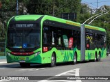 Next Mobilidade - ABC Sistema de Transporte 8600 na cidade de São Bernardo do Campo, São Paulo, Brasil, por Gabriel Oliveira Caldas da Nobrega. Número da foto: #12868545.