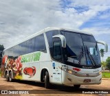 Eucatur - Empresa União Cascavel de Transportes e Turismo 4919 na cidade de Vilhena, Rondônia, Brasil, por Busologia Em Vilhena. Número da foto: #12868383.