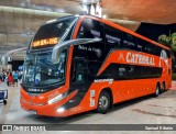Catedral Turismo 23530 na cidade de Uberlândia, Minas Gerais, Brasil, por Samuel Ribeiro. Número da foto: #12866896.