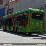 TRANSPPASS - Transporte de Passageiros 8 0306 na cidade de São Paulo, São Paulo, Brasil, por Michel Nowacki. Número da foto: #12868531.