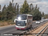 Pullman Tur 169 na cidade de Parral, Linares, Maule, Chile, por Pablo Andres Yavar Espinoza. Número da foto: #12868618.
