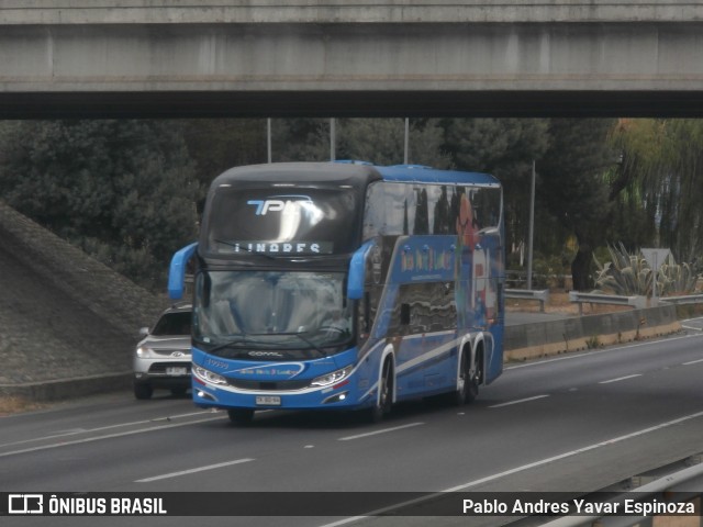 TPL - Talca París y Londres 10060 na cidade de Chillán, Ñuble, Bío-Bío, Chile, por Pablo Andres Yavar Espinoza. Número da foto: #12871317.