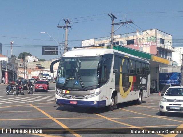 Gatti 287 na cidade de Carapicuíba, São Paulo, Brasil, por Rafael Lopes de Oliveira. Número da foto: #12870863.