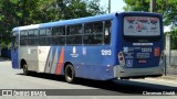 Transportes Capellini 12013 na cidade de Campinas, São Paulo, Brasil, por Cleverson Giraldi. Número da foto: #:id.