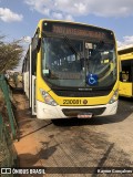 Viação Pioneira 230081 na cidade de Santa Maria, Distrito Federal, Brasil, por Kayron Gonçalves. Número da foto: #12868887.