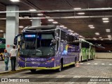Pássaro Verde 23183 na cidade de Belo Horizonte, Minas Gerais, Brasil, por MAXI MORAIS. Número da foto: #12868952.