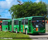 Rodoviária Caxangá 354 na cidade de Olinda, Pernambuco, Brasil, por Vinicius Fernando. Número da foto: #12869640.
