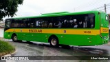 Transportes Capellini 12350 na cidade de Paulínia, São Paulo, Brasil, por Allan Henrique. Número da foto: #12870600.