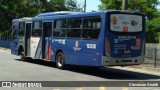 Transportes Capellini 19.038 na cidade de Campinas, São Paulo, Brasil, por Cleverson Giraldi. Número da foto: #:id.