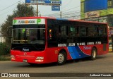 E.T. Palmari S.A. 843 na cidade de Carabayllo, Lima, Lima Metropolitana, Peru, por Anthonel Cruzado. Número da foto: #12869033.