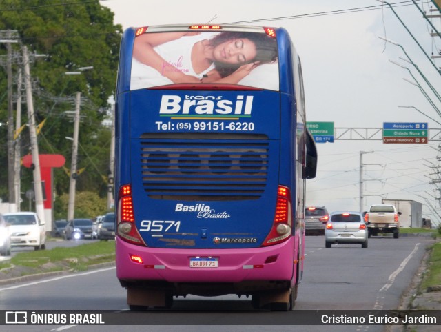 Basilio e Basilio 9571 na cidade de Manaus, Amazonas, Brasil, por Cristiano Eurico Jardim. Número da foto: #12871848.