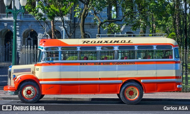 Rouxinol 040 na cidade de Contagem, Minas Gerais, Brasil, por Carlos ASA. Número da foto: #12871797.