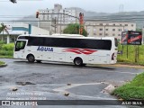 Águia 1650 na cidade de Porto Alegre, Rio Grande do Sul, Brasil, por JULIO SILVA. Número da foto: #12872036.