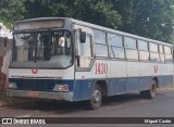 Transporte Rural 1430 na cidade de Severínia, São Paulo, Brasil, por Miguel Castro. Número da foto: #12925665.