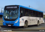 Princesinha do Vale 222307 na cidade de Resende, Rio de Janeiro, Brasil, por Luiz Petriz. Número da foto: #:id.