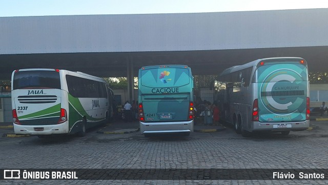 Cacique Transportes 4241 na cidade de Cruz das Almas, Bahia, Brasil, por Flávio  Santos. Número da foto: #12948085.