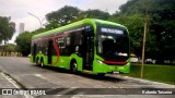 Himalaia Transportes > Ambiental Transportes Urbanos 4 1112 na cidade de São Paulo, São Paulo, Brasil, por Roberto Teixeira. Número da foto: #12949374.