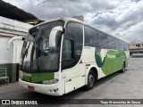Pássaro Verde 29020 na cidade de Belo Horizonte, Minas Gerais, Brasil, por Tiago Wenceslau de Souza. Número da foto: #12948970.