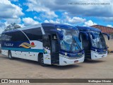Piccolotur Transportes Turísticos 3830 na cidade de Cabreúva, São Paulo, Brasil, por Wellington Oliveira. Número da foto: #12948872.