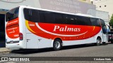 Palmas Receptivo 13000 na cidade de Uberlândia, Minas Gerais, Brasil, por Cristiano Neto. Número da foto: #:id.