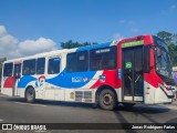 Viação Pavunense B32531 na cidade de Rio de Janeiro, Rio de Janeiro, Brasil, por Jonas Rodrigues Farias. Número da foto: #12948073.