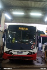 Transporte Rural S/N na cidade de Coroados, São Paulo, Brasil, por Paulo Cesar. Número da foto: #12948141.