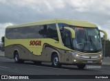 SOGIL - Sociedade de Ônibus Gigante Ltda. 374 na cidade de Porto Alegre, Rio Grande do Sul, Brasil, por Rui Hirsch. Número da foto: #12950959.