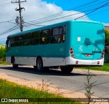 Laranjal Transportes 406 na cidade de Pelotas, Rio Grande do Sul, Brasil, por Ribeiro Reis. Número da foto: #12951358.