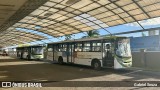 Rápido Araguaia 50467 na cidade de Goiânia, Goiás, Brasil, por Gabriel Souza. Número da foto: #12951529.