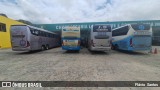 Viação Novo Horizonte 1037911 na cidade de Milagres, Bahia, Brasil, por Flávio  Santos. Número da foto: #:id.