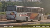 Transportes Capellini 13422 na cidade de Hortolândia, São Paulo, Brasil, por Luiz Fernando Pacheco Gomes. Número da foto: #12951288.