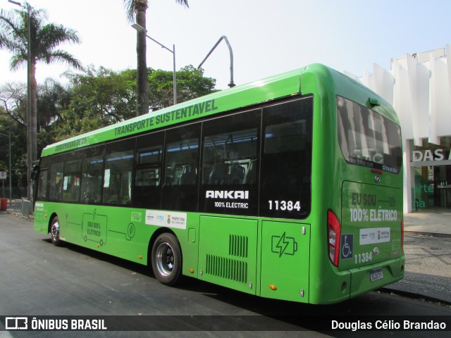Viação Sandra 11384 na cidade de Belo Horizonte, Minas Gerais, Brasil, por Douglas Célio Brandao. Número da foto: #12954898.