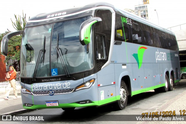 Pássaro Verde 24186 na cidade de Belo Horizonte, Minas Gerais, Brasil, por Vicente de Paulo Alves. Número da foto: #12953212.