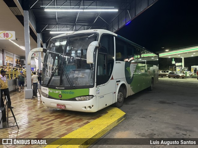 Pássaro Verde 29014 na cidade de João Monlevade, Minas Gerais, Brasil, por Luis Augusto Santos. Número da foto: #12953990.