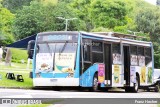 Ônibus Particulares PEPSI na cidade de Curitiba, Paraná, Brasil, por Franz Hecher. Número da foto: #12954943.