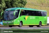 Pássaro Verde 16910 na cidade de Muriaé, Minas Gerais, Brasil, por Lucas Oliveira. Número da foto: #:id.