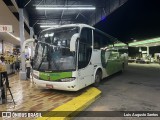 Pássaro Verde 29014 na cidade de João Monlevade, Minas Gerais, Brasil, por Luis Augusto Santos. Número da foto: #12953990.