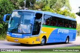 Fergramon Transportes 255 na cidade de Curitiba, Paraná, Brasil, por Paulo Henrique Pereira Borges. Número da foto: #12954749.