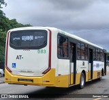 Empresa de Transportes Nova Marambaia AT-083 na cidade de Belém, Pará, Brasil, por Samara Goes. Número da foto: #12954585.