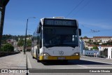 SMTUC - Serviços Municipalizados de Transportes Urbanos de Coimbra 246 na cidade de Coimbra, Coimbra, Portugal, por César de Oliveira. Número da foto: #12956162.
