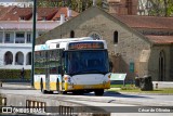 SMTUC - Serviços Municipalizados de Transportes Urbanos de Coimbra 342 na cidade de Coimbra, Coimbra, Portugal, por César de Oliveira. Número da foto: #12956229.