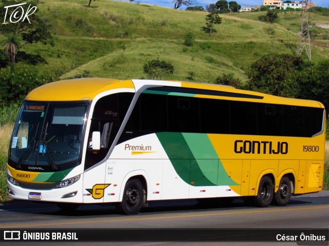 Empresa Gontijo de Transportes 19800 na cidade de Belo Horizonte, Minas Gerais, Brasil, por César Ônibus. Número da foto: #12959045.