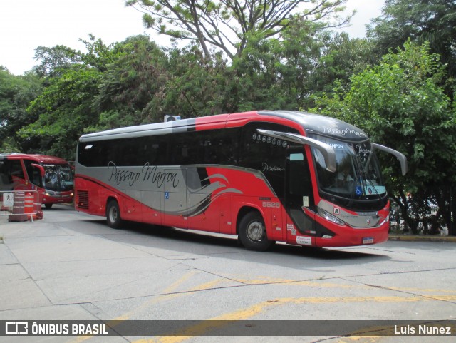 Empresa de Ônibus Pássaro Marron 5528 na cidade de São Paulo, São Paulo, Brasil, por Luis Nunez. Número da foto: #12957778.