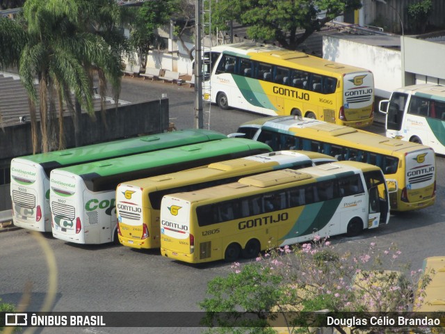 Empresa Gontijo de Transportes 12805 na cidade de Belo Horizonte, Minas Gerais, Brasil, por Douglas Célio Brandao. Número da foto: #12958672.