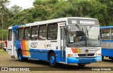 Novix Bus 42527 na cidade de Campinas, São Paulo, Brasil, por George Miranda. Número da foto: #:id.