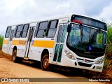 Escolares 6942 na cidade de Paudalho, Pernambuco, Brasil, por Edjunior Sebastião. Número da foto: #12958128.