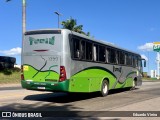 Turin Transportes 1390 na cidade de Conselheiro Lafaiete, Minas Gerais, Brasil, por Eduardo Vieira. Número da foto: #12957504.